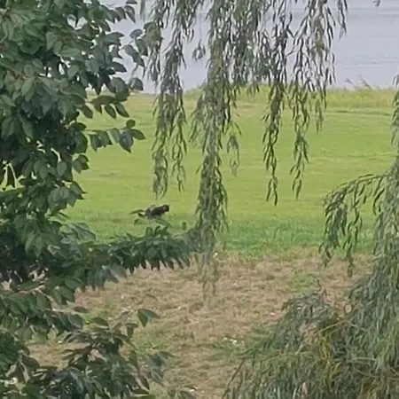 Kontor By Interhome * Marschacht